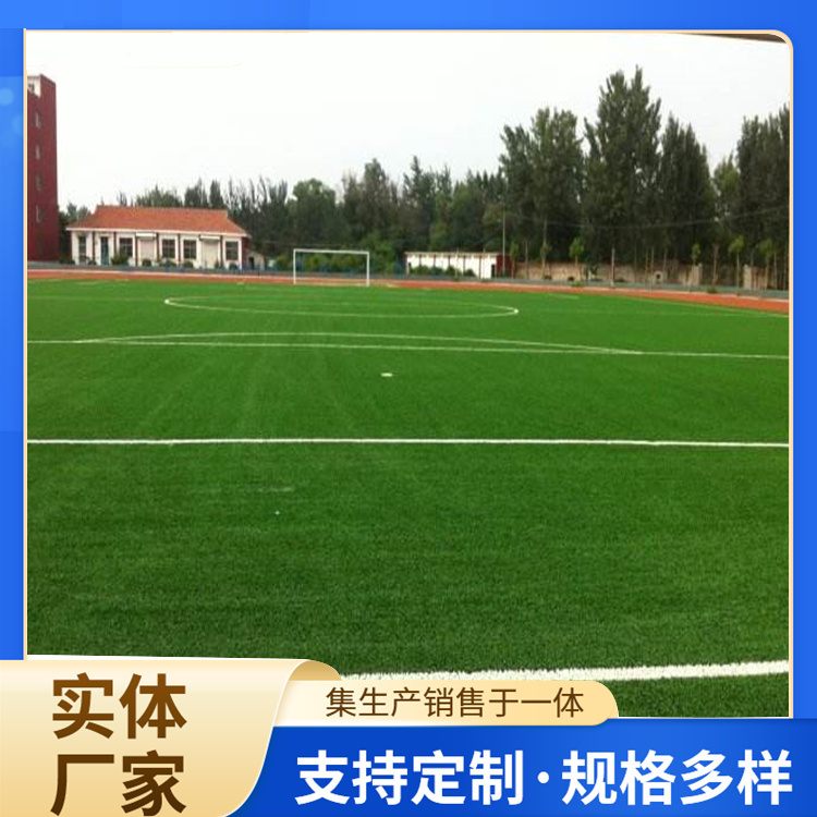 萍乡市塑胶跑道材料人造草坪 - 厂家